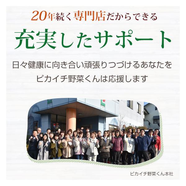 無農薬 にんじん ゲルソン療法 ジュース用 10kg 人参 国産 送料無料 ニンジン 無農薬にんじん 無農薬人参 人参ジュース ニンジンジュース 訳あり /【Buyee】 無農薬 にんじん ゲルソン療法 ジュース用 10kg 人参 国産 送料無料 ニンジン 無農薬にんじん 無農薬人参 人参ジュース ニンジンジュース 訳あり /【Buyee】