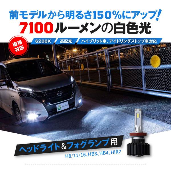 ピカキュウ [アウトレット品・保証なし]単 ヘッドランプ用 LEDヘッド