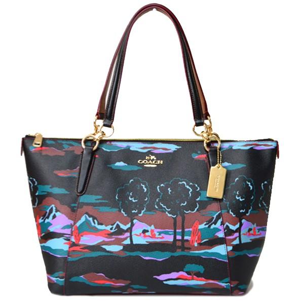 レアCOACHトートバッグ COACH（コーチ） バッグ ランドスケープ プリント コーテッド