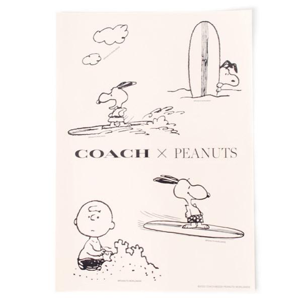 COACH（コーチ） ステッカー スヌーピー ピーナッツ コラボ チャーリー