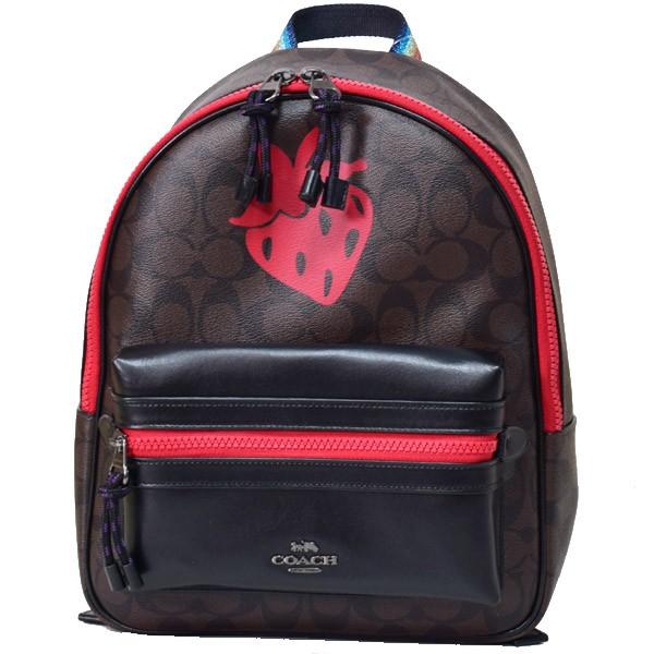 COACH（コーチ） バッグ キャンバス スムースレザー シグネチャー