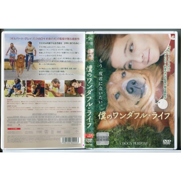 僕のワンダフル・ライフ/DVD 中古 レンタル落ち/デニス・クエイド/d0040