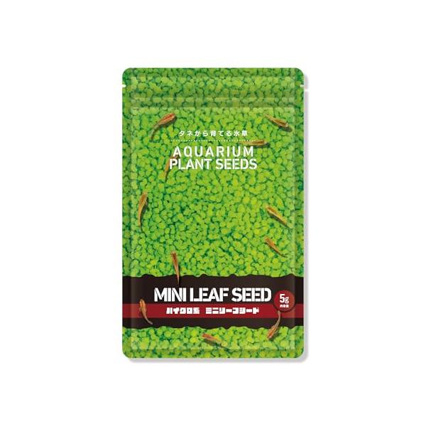 水草の種 MINI LEAF SEED〈ミニリーフシード〉5g アクアリウム テラリウム 水草絨毯 熱帯魚