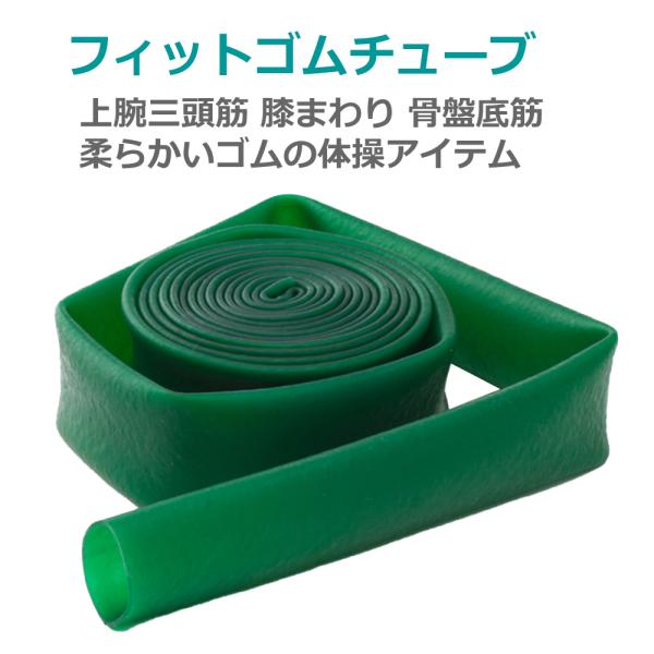 青葉 フィットゴムチューブ 上腕三頭筋 膝まわり 骨盤底筋 トレーニング SSER021