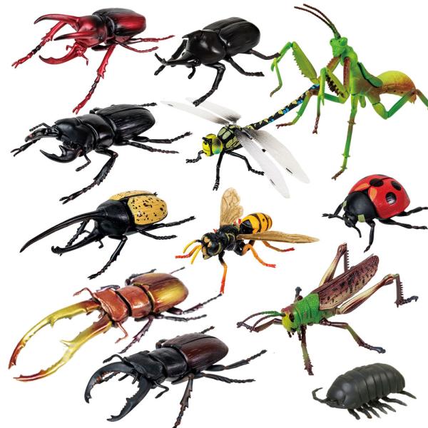10体セット 超リアル ビッグ 昆虫 4d パズル フィギュア 甲虫 ヒラタクワガタ カブトムシ クワガタムシ クワガタ 模型 子ども おもちゃ P 作業着 空調服 安全靴の現場王 通販 Yahoo ショッピング