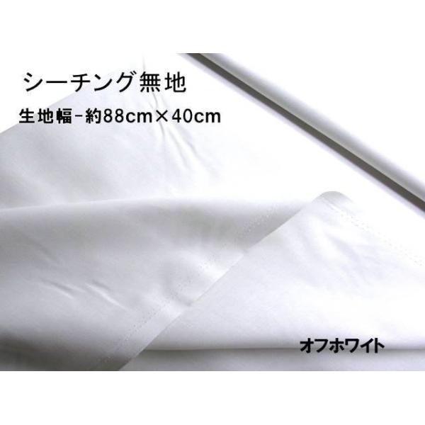  nM n 40cm  n J[ V[`O n E ItzCg i 88×40 100 ji ͂ nM j 10000-OWT-h40