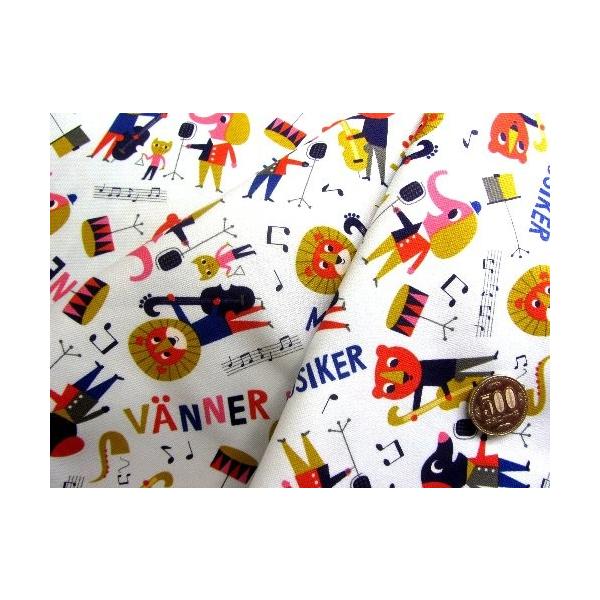  nM n 40cm   LN^[ n ͂ JbgNX  CQ AAjEX i It jԍQ