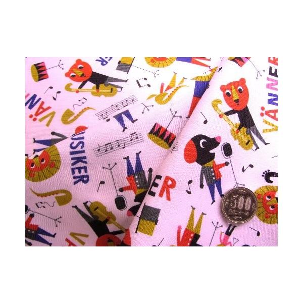  nM n 40cm   LN^[ n ͂ JbgNX  CQ AAjEX i sN jԍQ