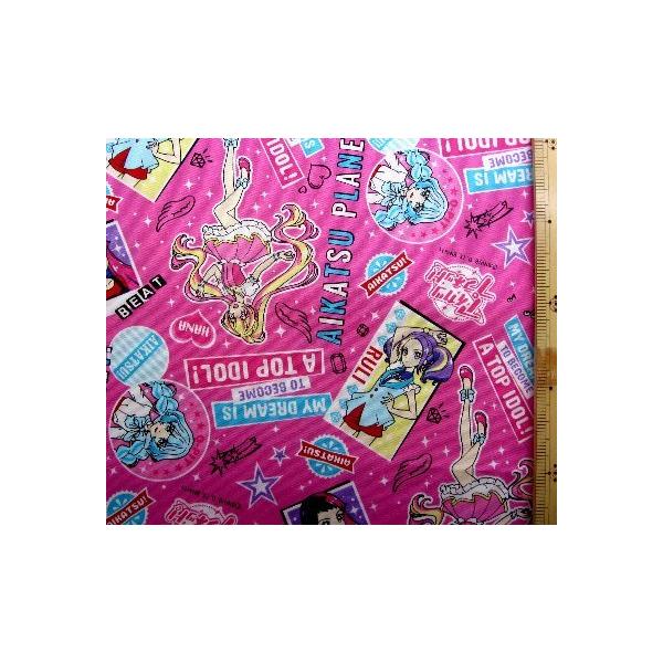 LN^[ n z ACJc vlbgI i ZsN ) i 2021 ) IbNXi 100 j n|108cm@A5700-9B-kk-6606