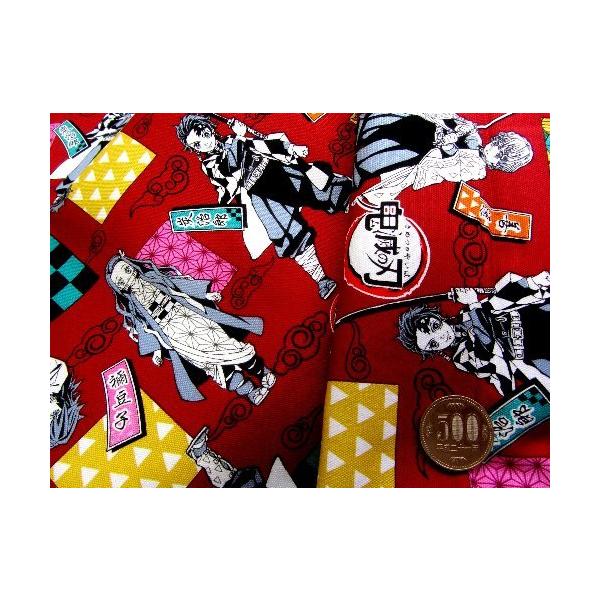  nM n 40cm KCZXi  Sł̐n i  jԍS (2021) IbNXi 100 )   A7200-1B-kk-6381-H40