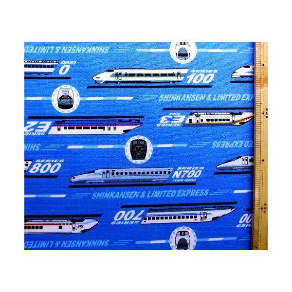  LN^[ n z JR} V i u[n jԍQS i 2021 - 2022 ) IbNXi 100 j n|108cm    A8000-27B-kk-6829