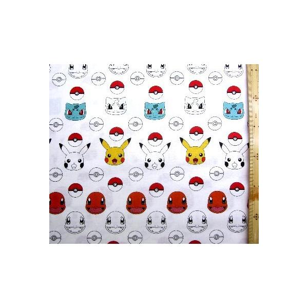  LN^[ AJ A n |PbgX^[ i It jԍ PPVi 2021 ) V[`Oi100jn|108cm uskk-9271