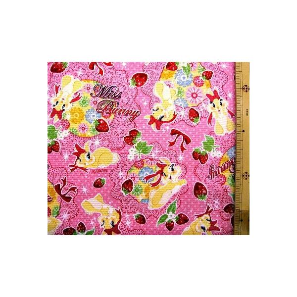 LN^[ ~l[g n ~Xoj[ i sN jV i rj[ R[eBO ͂ h jy×@ł̊ې􂢕sz