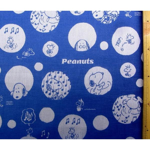 LN^[ n z Xk[s[ i n ) ԍPTTi 2022 ) WK[h i 100 ) n|108cm  G-3701-1A-kk-7230