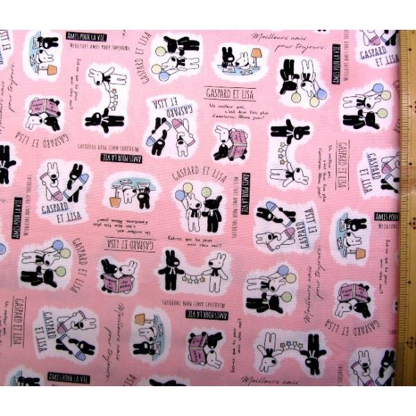 LN^[ n z TƃKXp[ i sNn ) ԍQSi 2021 - 2022 ) IbNX i  100 ) n|108cm G-4534-1A-kk-7016