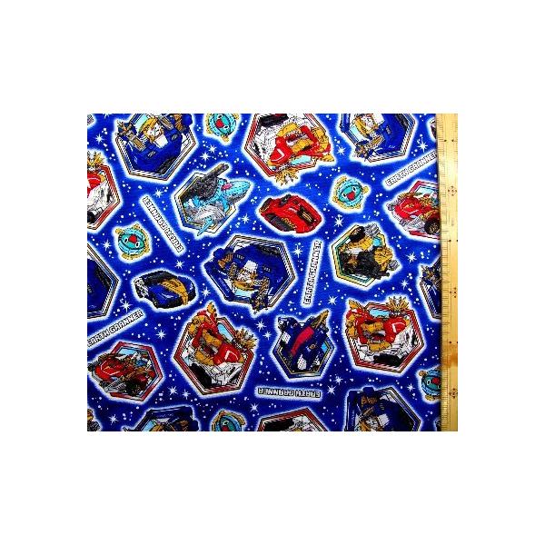 LN^[ n g~JJ A[XOi[i  ) ԍP i 2020 - 2021 ) IbNX i 100 ) n|108cm G-6087-1A-kk-6470