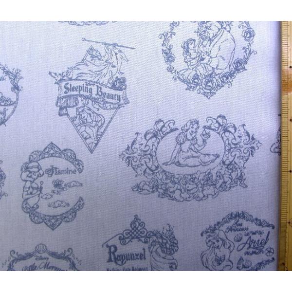 布 ディズニープリンセス キャラクターの人気商品 通販 価格比較 価格 Com