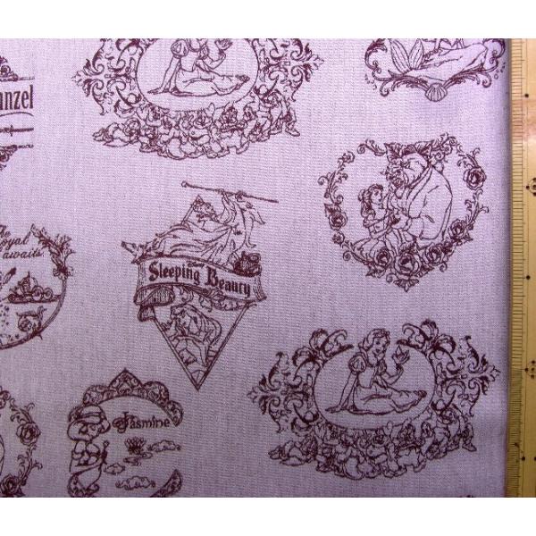 LN^[ n z fBYj[vZX i Cn ) ԍWR i 2022 ) WK[h i 100 ) n|108cm  G-7424-1C-kk-7238