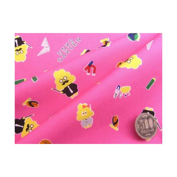  nM n 40cm  񂱊h i ZsN ) ԍQ i 2019 - 2020 ) IbNX i 100 ) n|108cm