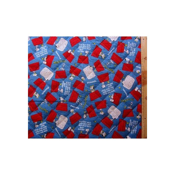  p LN^[ LeBO n Lg  Xk[s[ i _[Nu[nɂ ) ԍPRSi 2020 - 2021 ) Lg n|104cm kq-5145