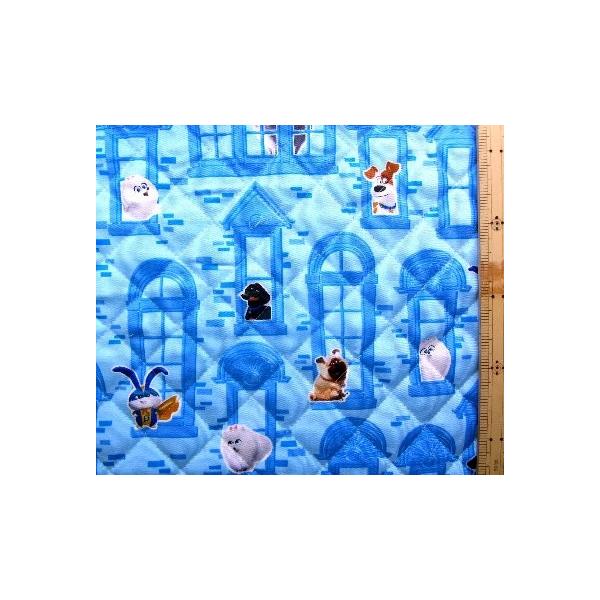 p LN^[ LeBO n Lg ybgQ i PETS j  i u[ j  i 2019 - 2020 jn|106cm gq-4162-1a-kq-4505