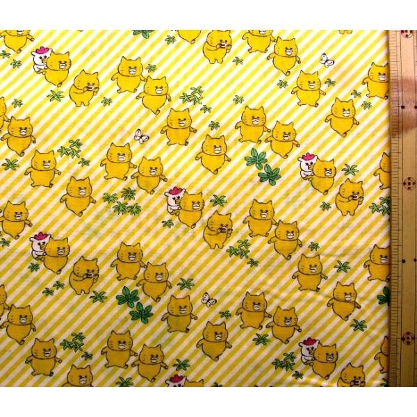  LN^[ n z mlR񂾂 i  /CG[n jԍW i 2021 - 2022 ) V[`O i 100 jn | 106cm kk-6891