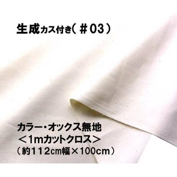  1 JbgNX n  lCI ԏiIJ[ IbNX n n i112×100jox3847-03-h100