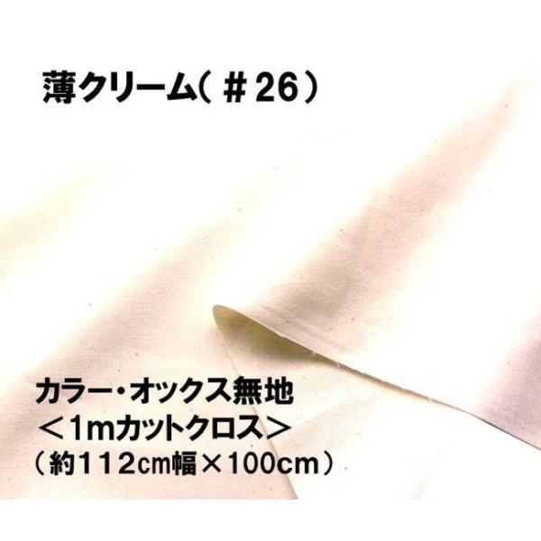  1 JbgNX n  lCI ԏiIJ[ IbNX n n  N[i112×100jox3847-26-h100