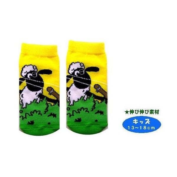  LN^[ \bNX i C jЂ  V[ i LbY 13`18 ) i ˂炢 CG[ × O[ ) sck-smp-th1020j