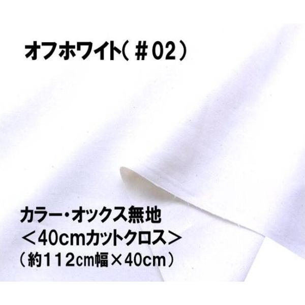  nM n 40cm lCI ԏiIJ[ IbNX n n   ItzCgi112×40ji ͂ nM Rbg IbNX nj