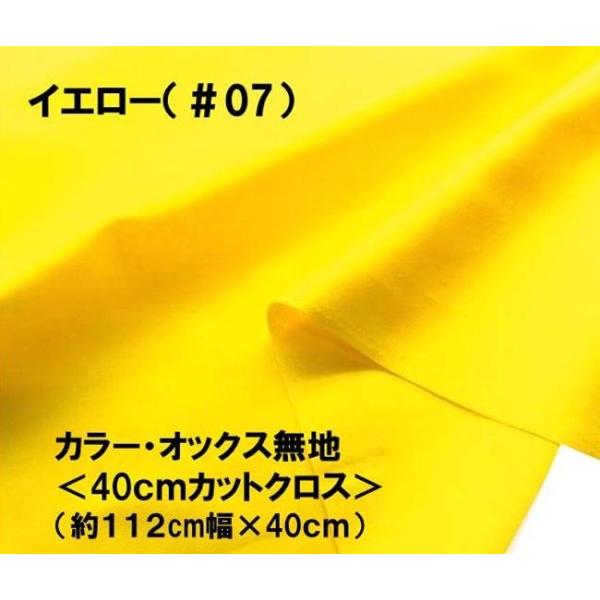  nM n 40cm lCI ԏiIJ[ IbNX n n   CG[i112×40ji ͂ nM Rbg IbNX nj