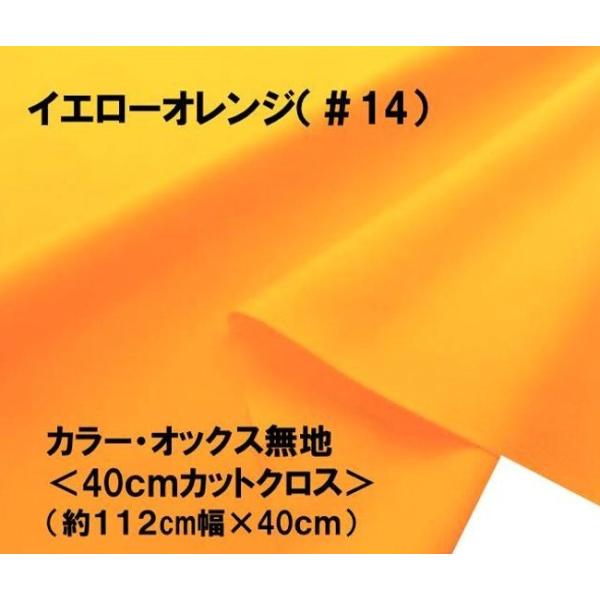  nM 40cm lCI ԏiIJ[ IbNX n n   CG|IWi112×40ji ͂ nM Rbg IbNX nj