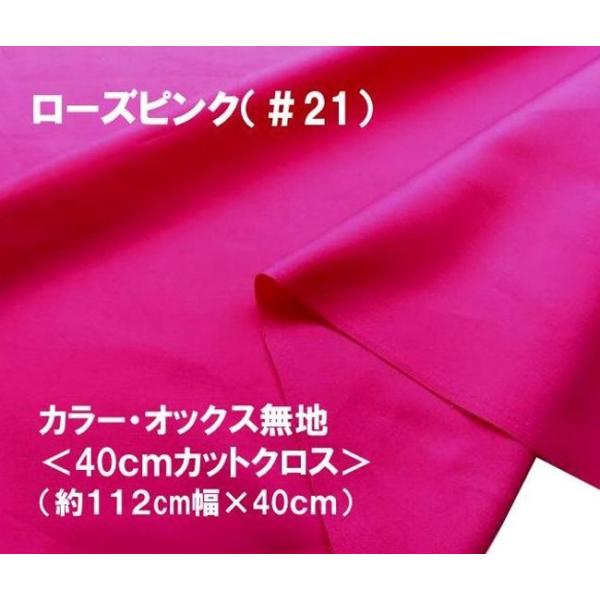  nM n 40cm lCI ԏiIJ[ IbNX n n   [YsNi112×40ji ͂ nM Rbg IbNX nj