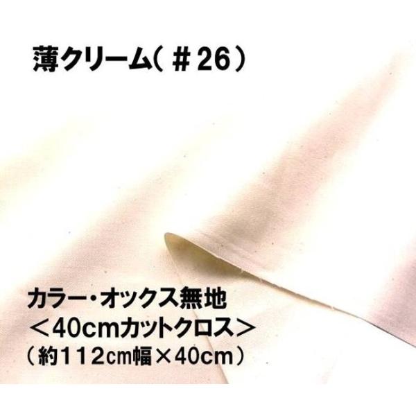  nM n 40cm lCI ԏiIJ[ IbNX n n   N[i112×40ji ͂ nM Rbg IbNX nj