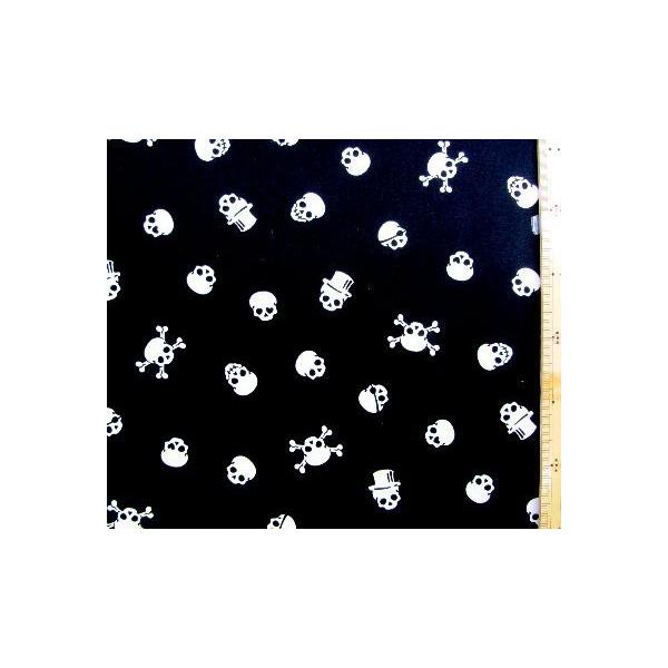 ~l[g n   hNXJ i  j  i ~l[g ͂ h jSWA-486A-BK-539