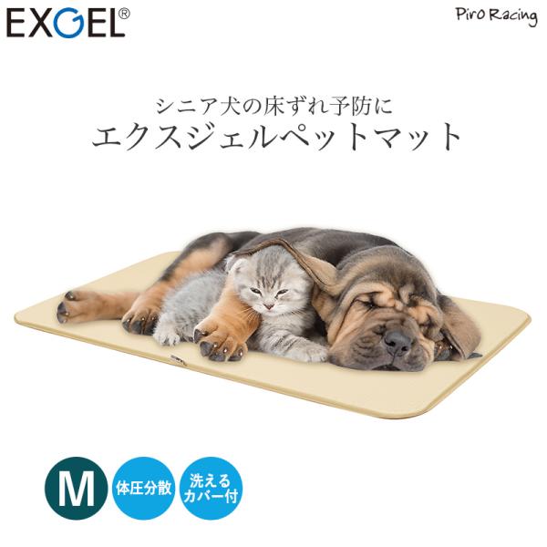 EXGEL エクスジェルマット【愛犬・愛猫用介護マット】Mサイズ 楽天市場】エクスジェルマット M 50×60cm 犬 介護ベッド シニア