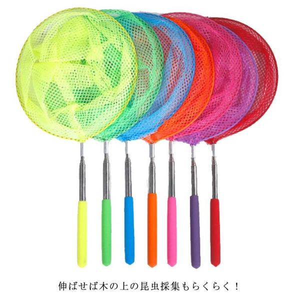 魚取り網 みんな探してる人気モノ 魚取り網