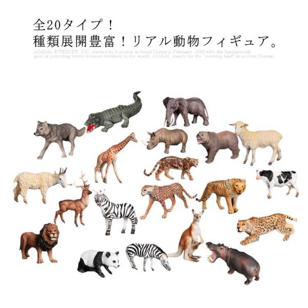 動物 みんな探してる人気モノ 動物 ホビー