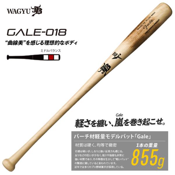 和牛JB バーチ材硬式木製バット (Gale) 注目のバット材「バーチ」を使用した硬式木製バットです。バーチ材は軽量設定においてのバット製作に向いており、強いしなりと弾きを兼ね備えております。855gと軽くて振り抜きやすい点が特徴ですが、速...