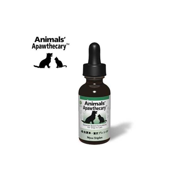 yKiz ~đEŃuh Aj}YApXL[ 29.5ml 1IX I[KjbN͔| }C^P n[u Tvg ybgp  L