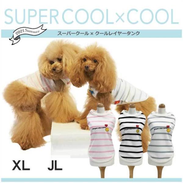 y50OFFzylR|Xz N[N`[ X[p[N[N[ ĕ 2021 C[^N XL/JL ^ ^Ngbv h R L UVJbg