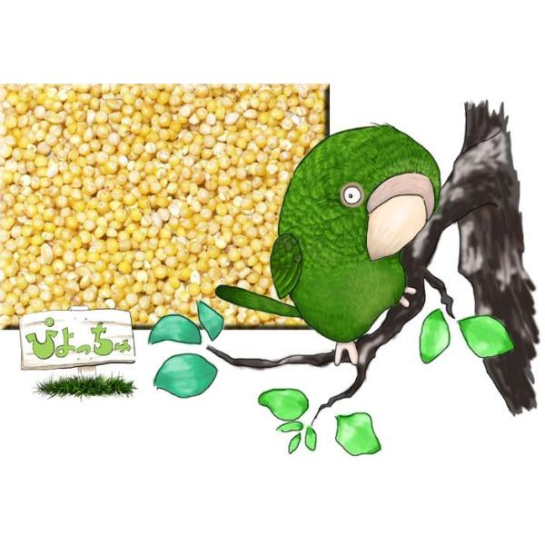 ���ʁ@1k����2