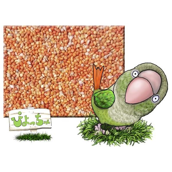 �g�A���@1k����2