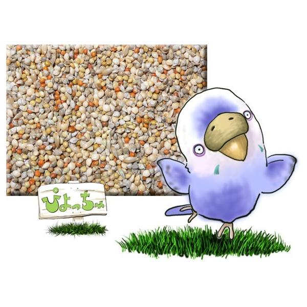 ��t�z���@5k����2