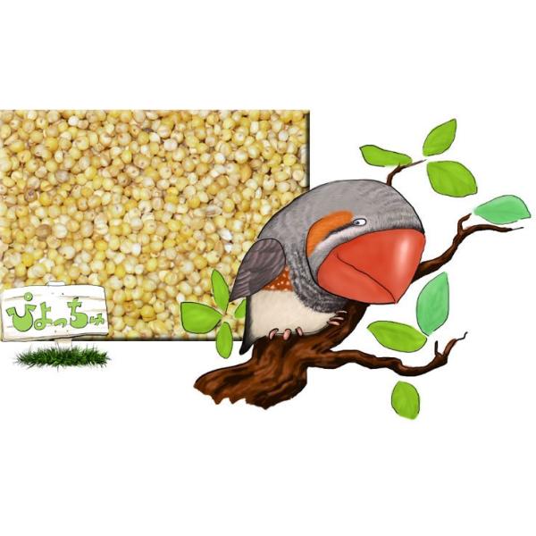 ���L�A���@2k����2