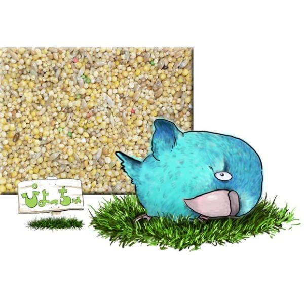 ���L�z���@5k����2