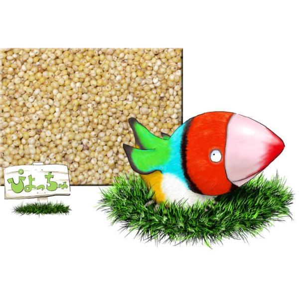 ���L�L�r�@1k����2