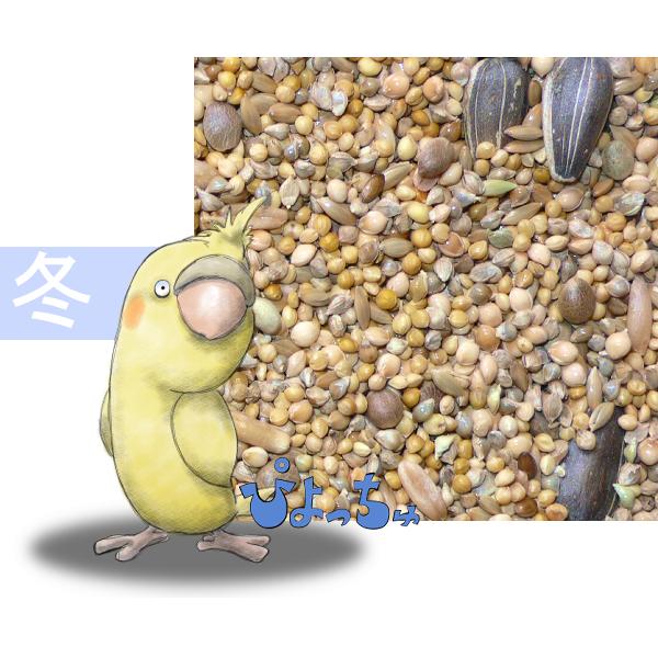 オカメインコさんの冬用ブレンドですよ。