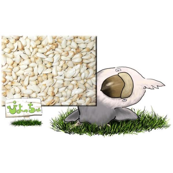 �T�t�����[�@2.5k����2