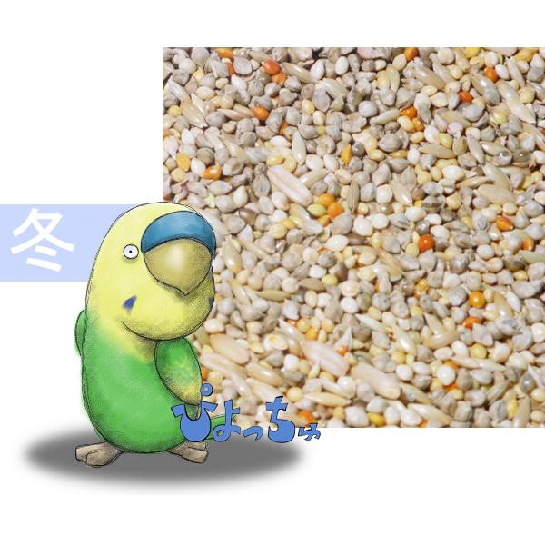 セキセイインコさんの冬用ブレンドですよ。